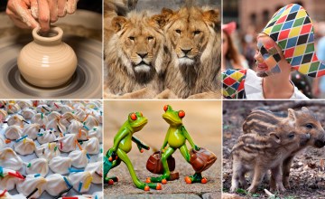 Alfarero, leones, arlequín, merengues, granotas y jabatos / FOTOMONTAJE DE PdF