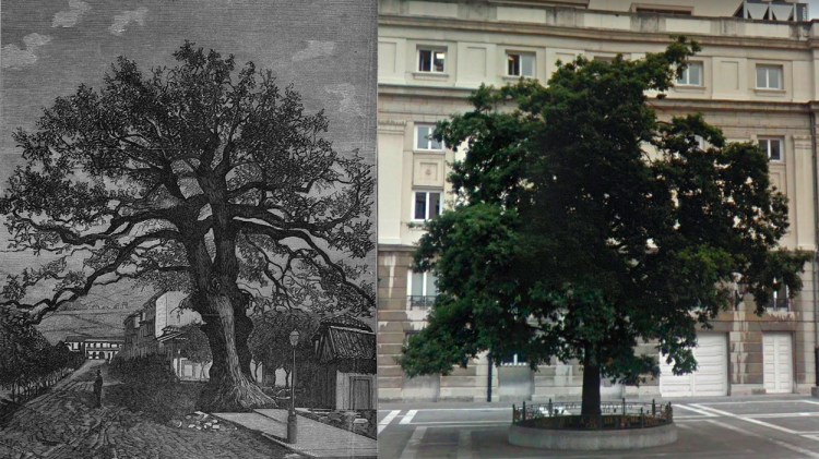 El antiguo y el nuevo Carbayón de Oviedo / WIKIPEDIA - GOOGLE STREET VIEW