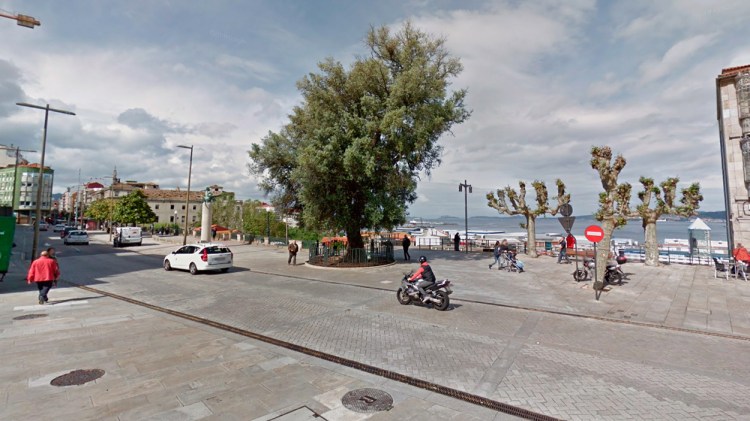 El olivo de Vigo / GOOGLE STREET VIEW