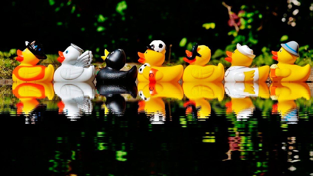 El patito feo, negro, junto a otros patos de goma / PIXABAY