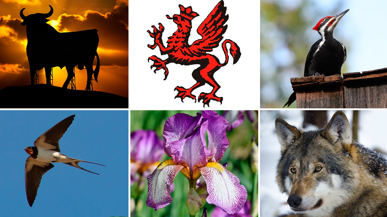 Toro, grifo, pájaro carpintero, golondrina, lirio y lobo, algunos de los motes de los equipos de fútbol de Italia y sus seguidores / FOTOMONTAJE DE PdF