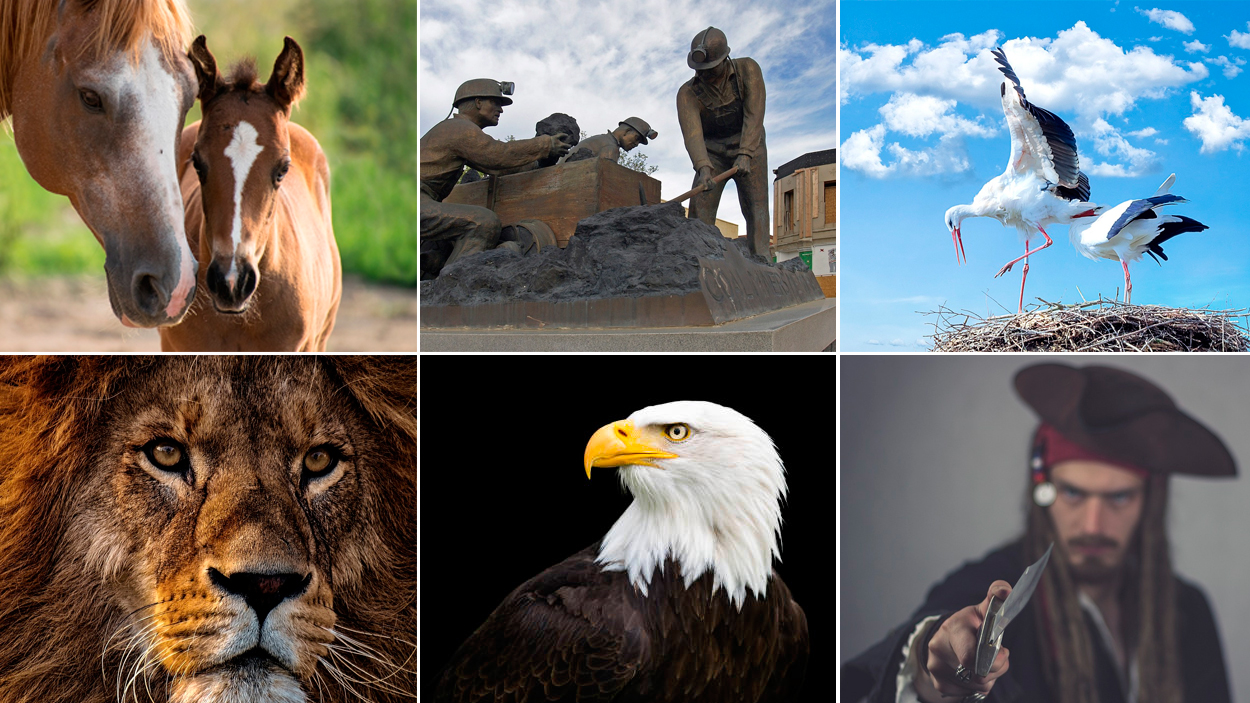 Apodos y motes de los equipos de la Bundesliga de Alemania / FOTOMONTAJE DE PdF