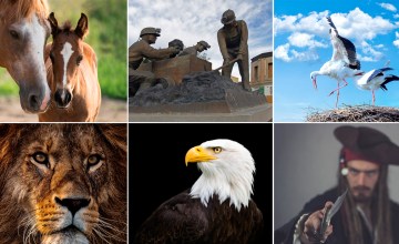 Apodos y motes de los equipos de la Bundesliga de Alemania / FOTOMONTAJE DE PdF