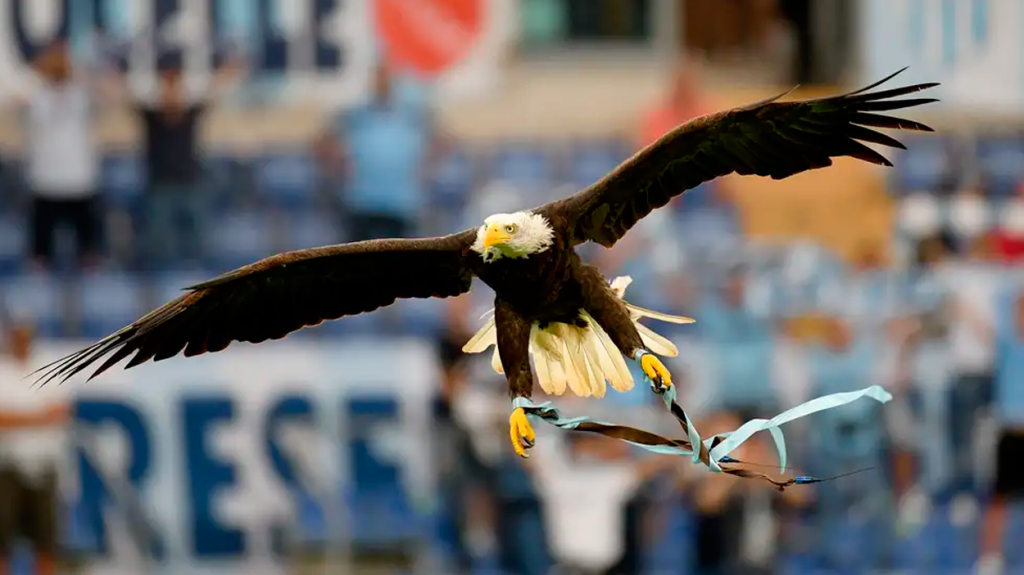 El águila 'Olympia', mascota del Lazio / LAZIO