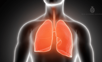 Unos pulmones / Freepik