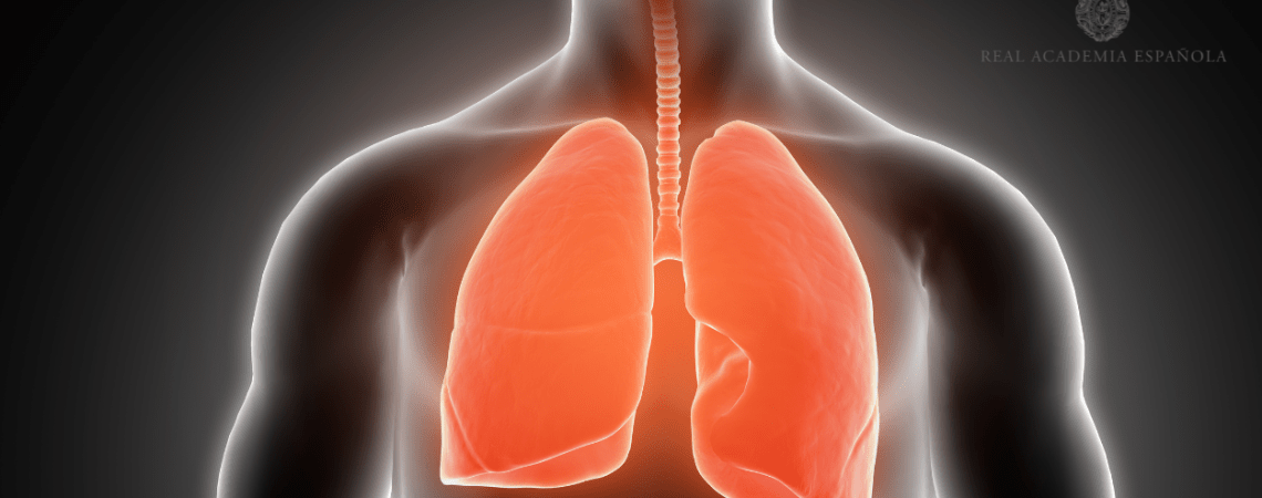 Unos pulmones / Freepik